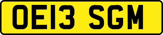 OE13SGM