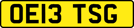 OE13TSG