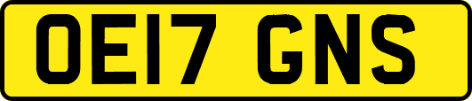 OE17GNS