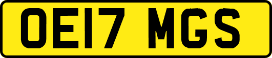 OE17MGS