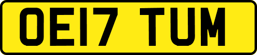 OE17TUM