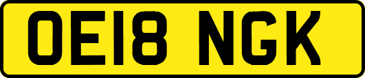 OE18NGK