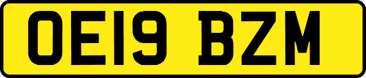 OE19BZM