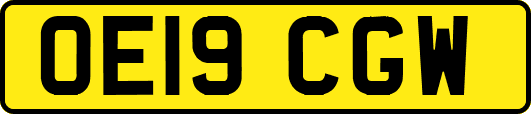 OE19CGW