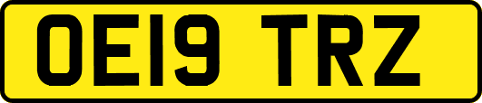 OE19TRZ