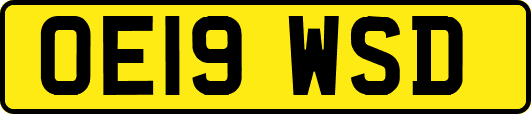 OE19WSD