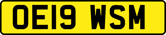 OE19WSM