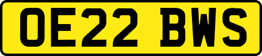 OE22BWS