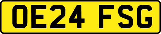 OE24FSG