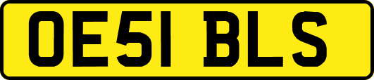 OE51BLS