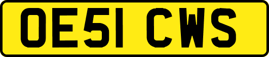 OE51CWS