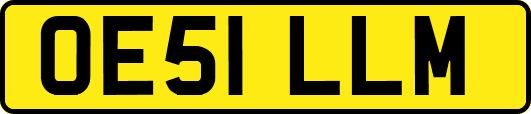 OE51LLM