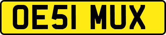 OE51MUX