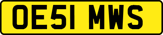 OE51MWS
