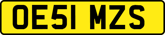 OE51MZS