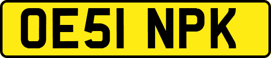 OE51NPK