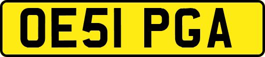 OE51PGA