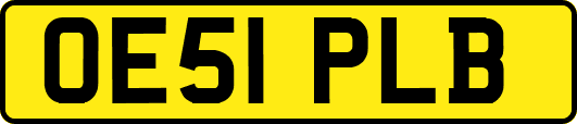 OE51PLB
