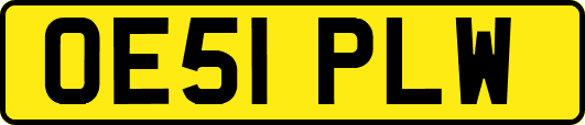 OE51PLW