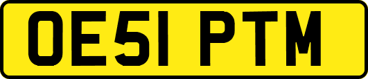 OE51PTM