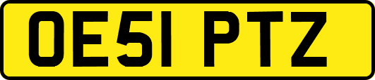 OE51PTZ