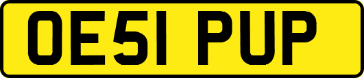 OE51PUP