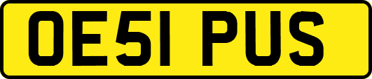 OE51PUS