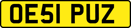 OE51PUZ