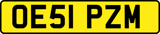 OE51PZM
