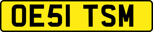 OE51TSM