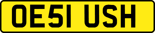 OE51USH