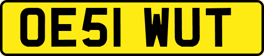 OE51WUT