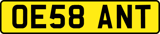 OE58ANT