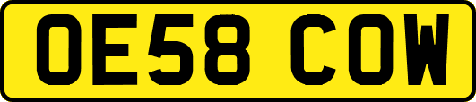 OE58COW
