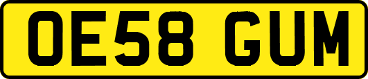 OE58GUM
