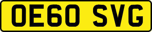 OE60SVG