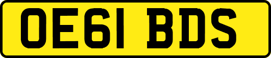 OE61BDS