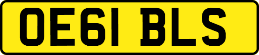 OE61BLS