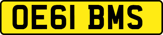 OE61BMS
