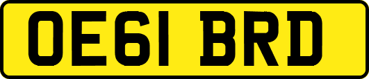 OE61BRD