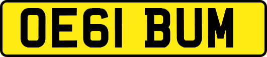 OE61BUM