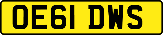 OE61DWS