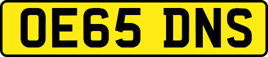 OE65DNS