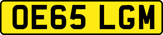 OE65LGM