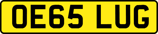OE65LUG