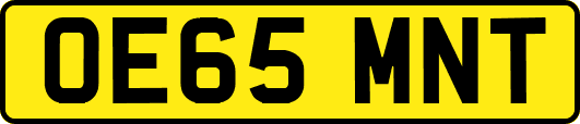OE65MNT