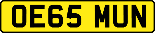 OE65MUN