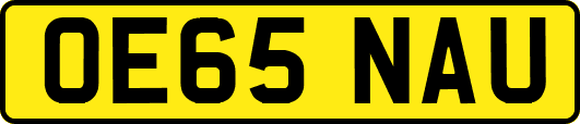 OE65NAU