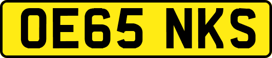 OE65NKS