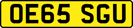 OE65SGU